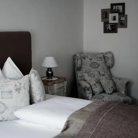 Hotel Ginzinger 3*