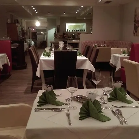 Hotel Ginzinger 3*