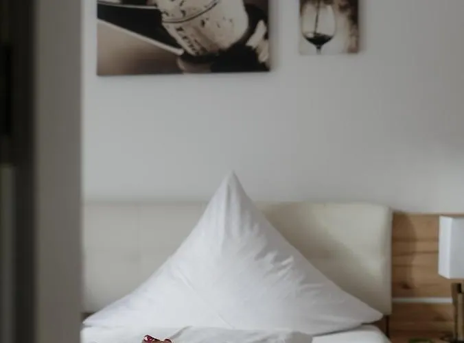 Ginzinger Hotel Mauerkirchen