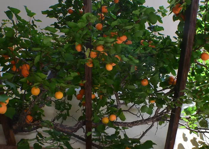 Ginzinger Mauerkirchen